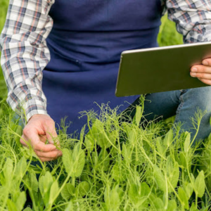Agricultural consultation and support