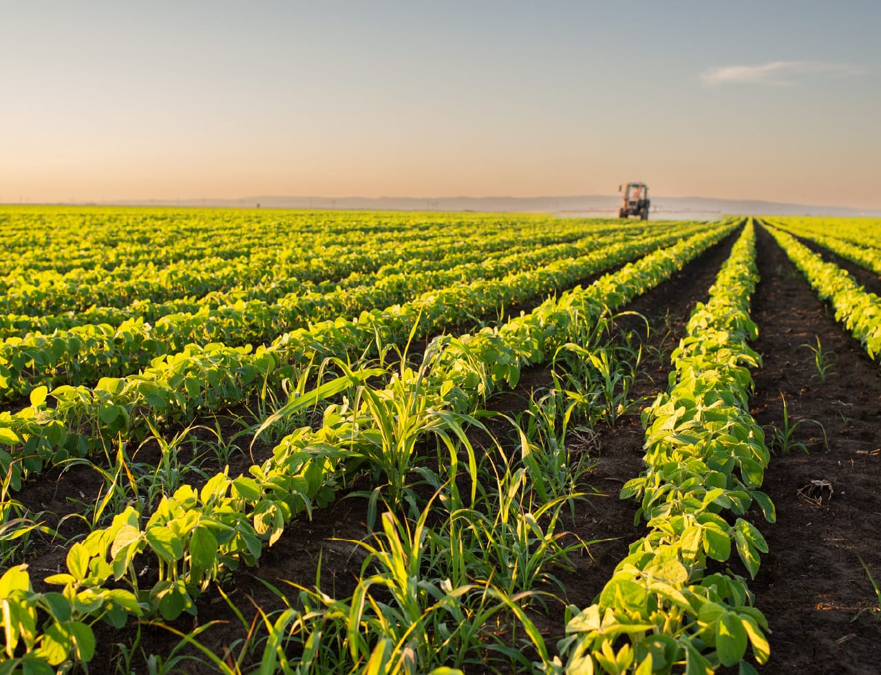 Sky Agri Business agriculture support